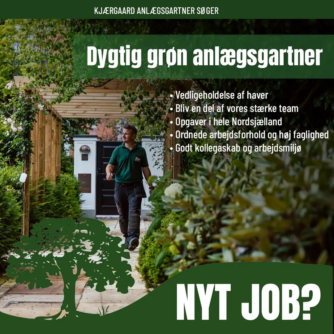 52+ Den Grønne Gartner, Velplejede grønne områder kan øge